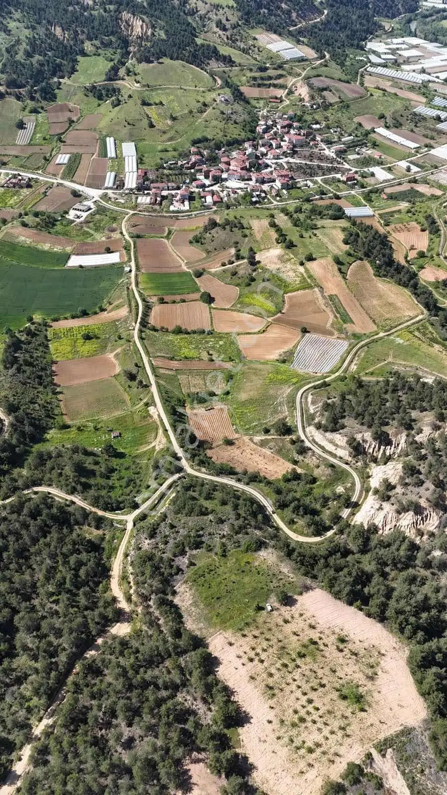 Bilecik Söğüt Geçitli Köyünde Satılık Arazi