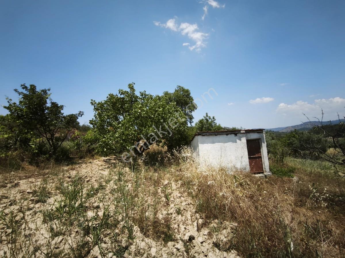 Manisa Avdal Köyü 7.805 M² Elektrik Ve Suyu Var Yola Cepheli - Görsel 23
