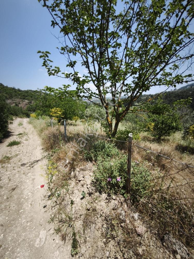 Manisa Avdal Köyü 7.805 M² Elektrik Ve Suyu Var Yola Cepheli - Görsel 12