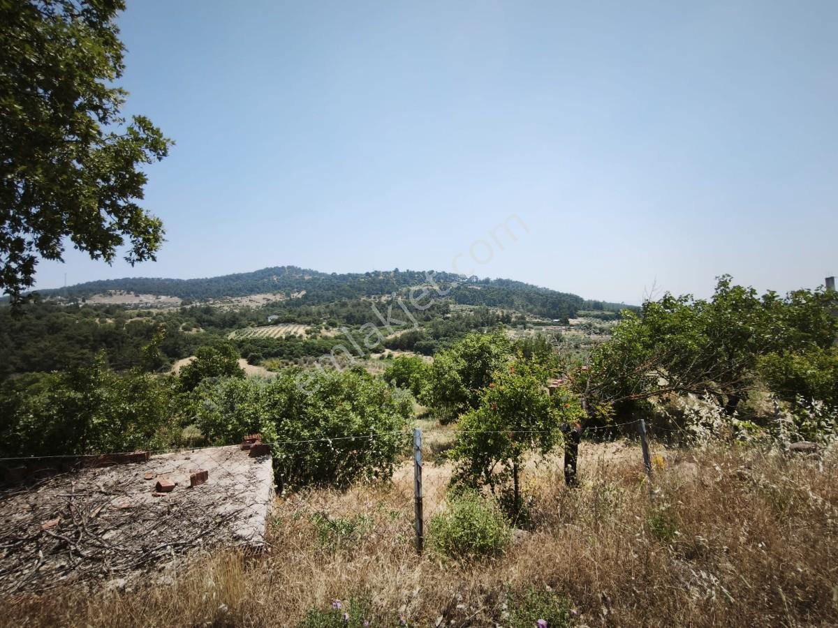 Manisa Avdal Köyü 7.805 M² Elektrik Ve Suyu Var Yola Cepheli - Görsel 27