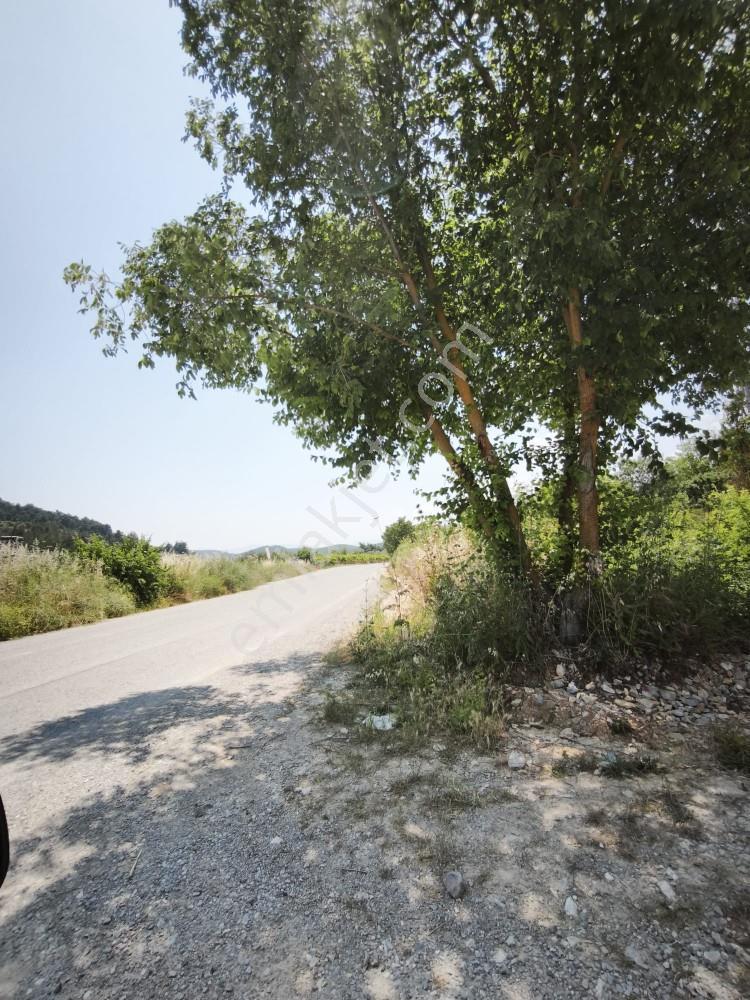 Manisa Avdal Köyü 7.805 M² Elektrik Ve Suyu Var Yola Cepheli - Görsel 30