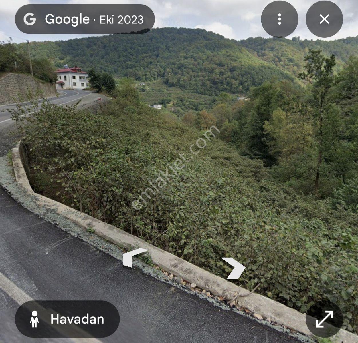 Adaplatin'den Beşikdüzü Merkez Sahile 3km, 3178m2 Fındık Bahçesi - Görsel 23