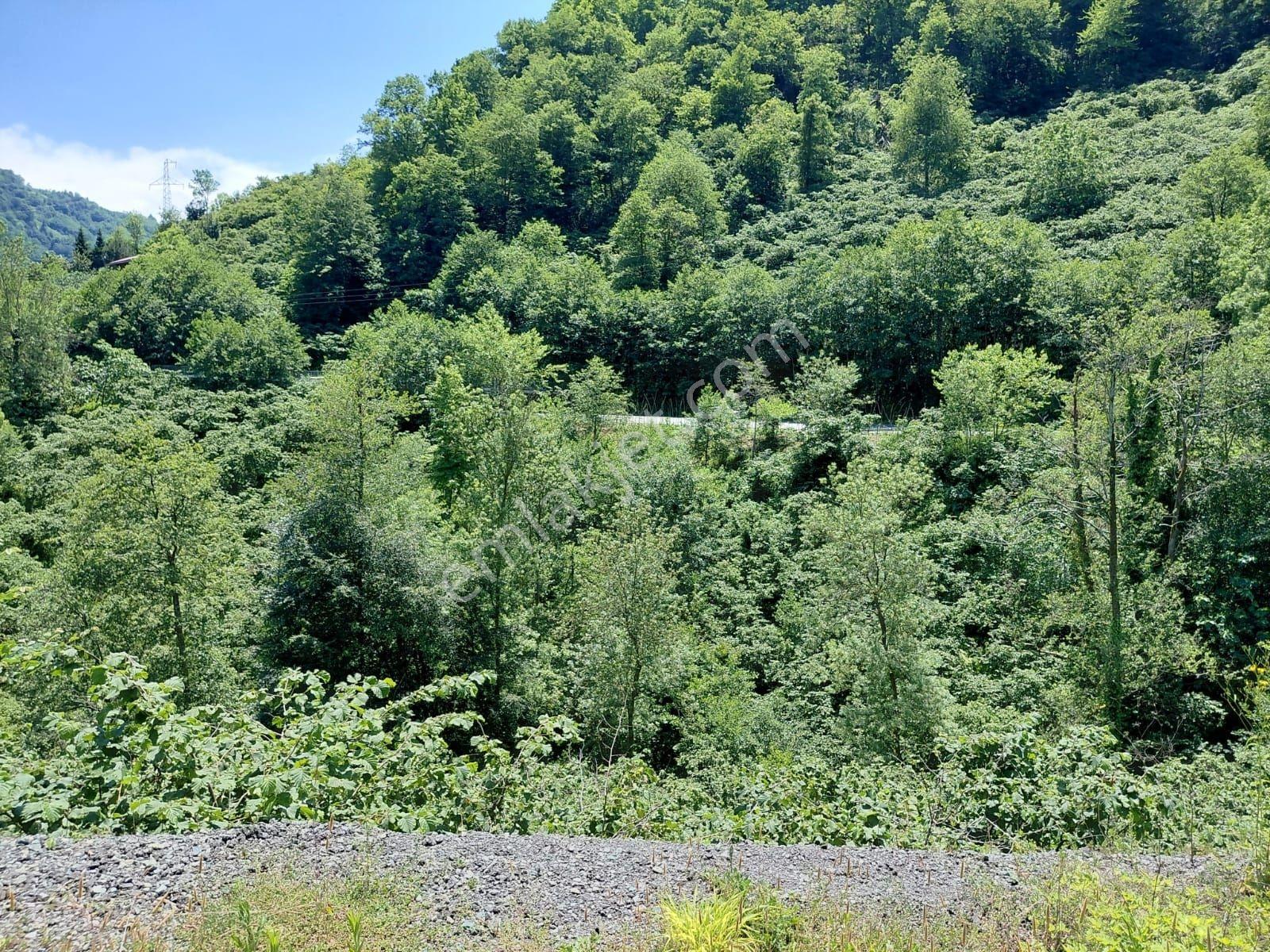 Adaplatin'den Beşikdüzü Merkez Sahile 3km, 3178m2 Fındık Bahçesi - Görsel 21