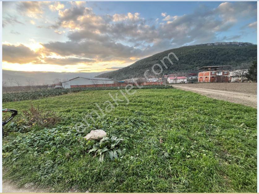 Master Realtor Nilvesttden 2.5 Kat İmarlı Arsa - Görsel 10