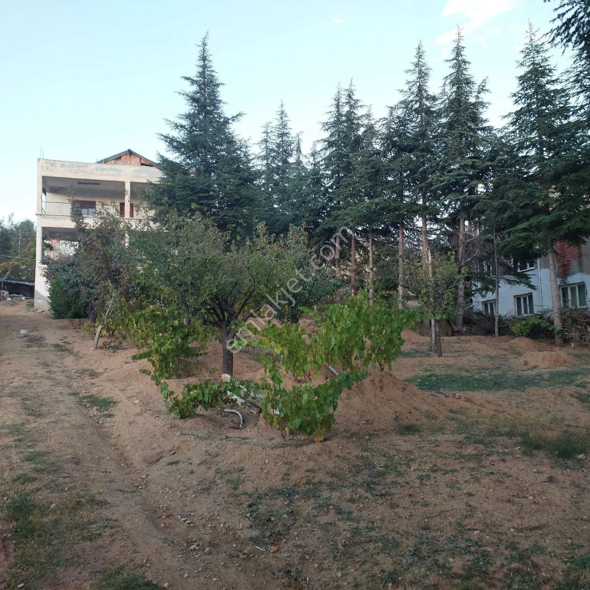 Satılık Hisseli Arsa