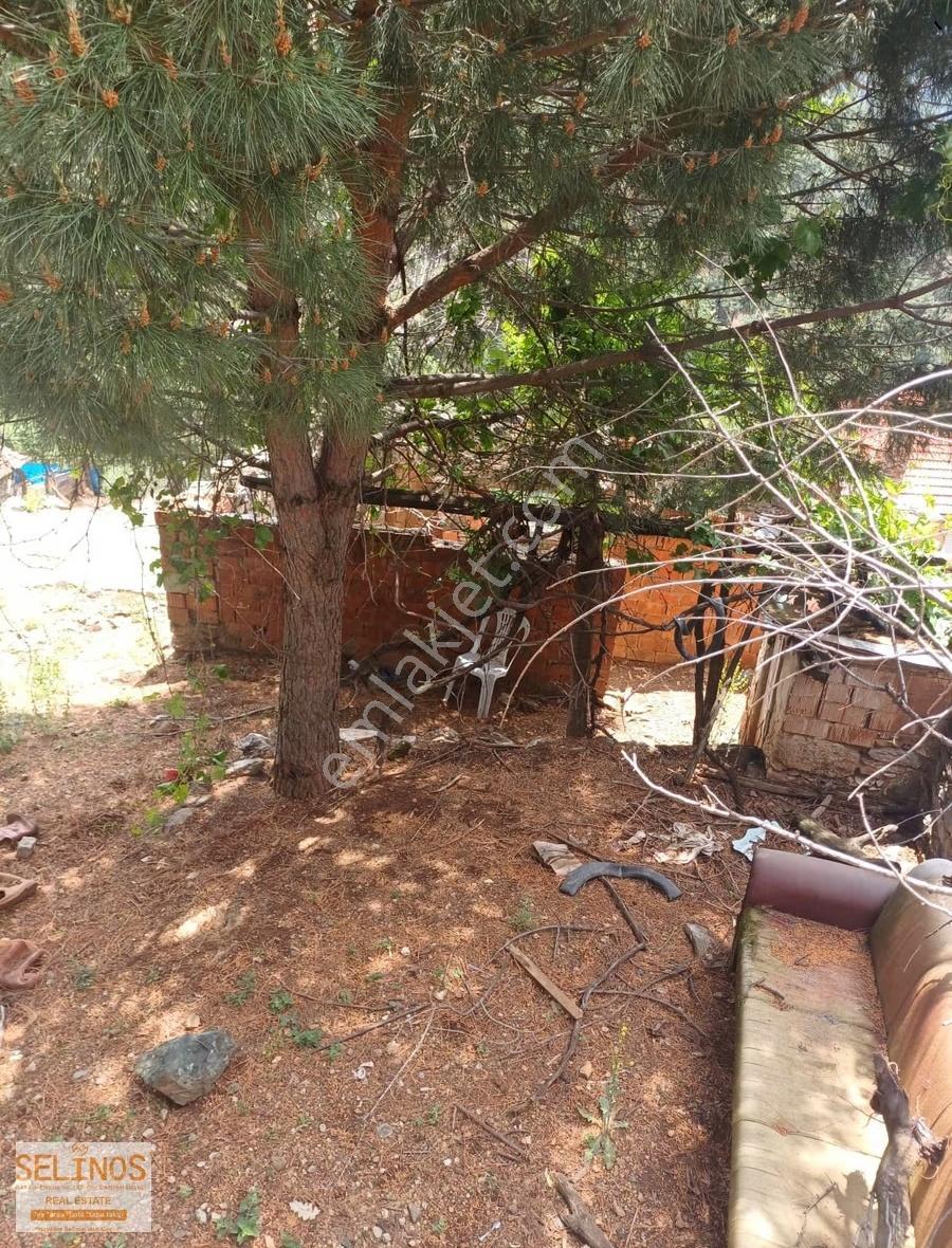 Hacılar Turanlı Müstakil Taş Ev - Görsel 8