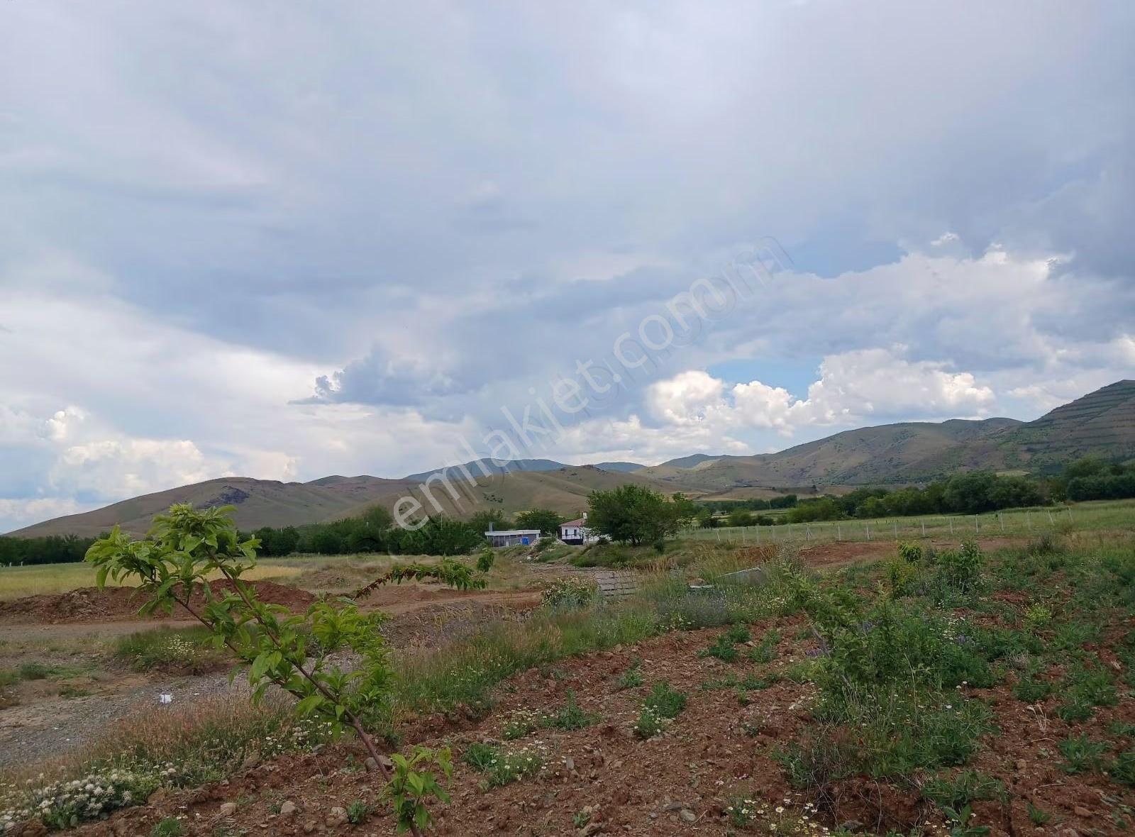 Elazığ Merkeze 25 Kilometre Satılık Tarla - Görsel 7
