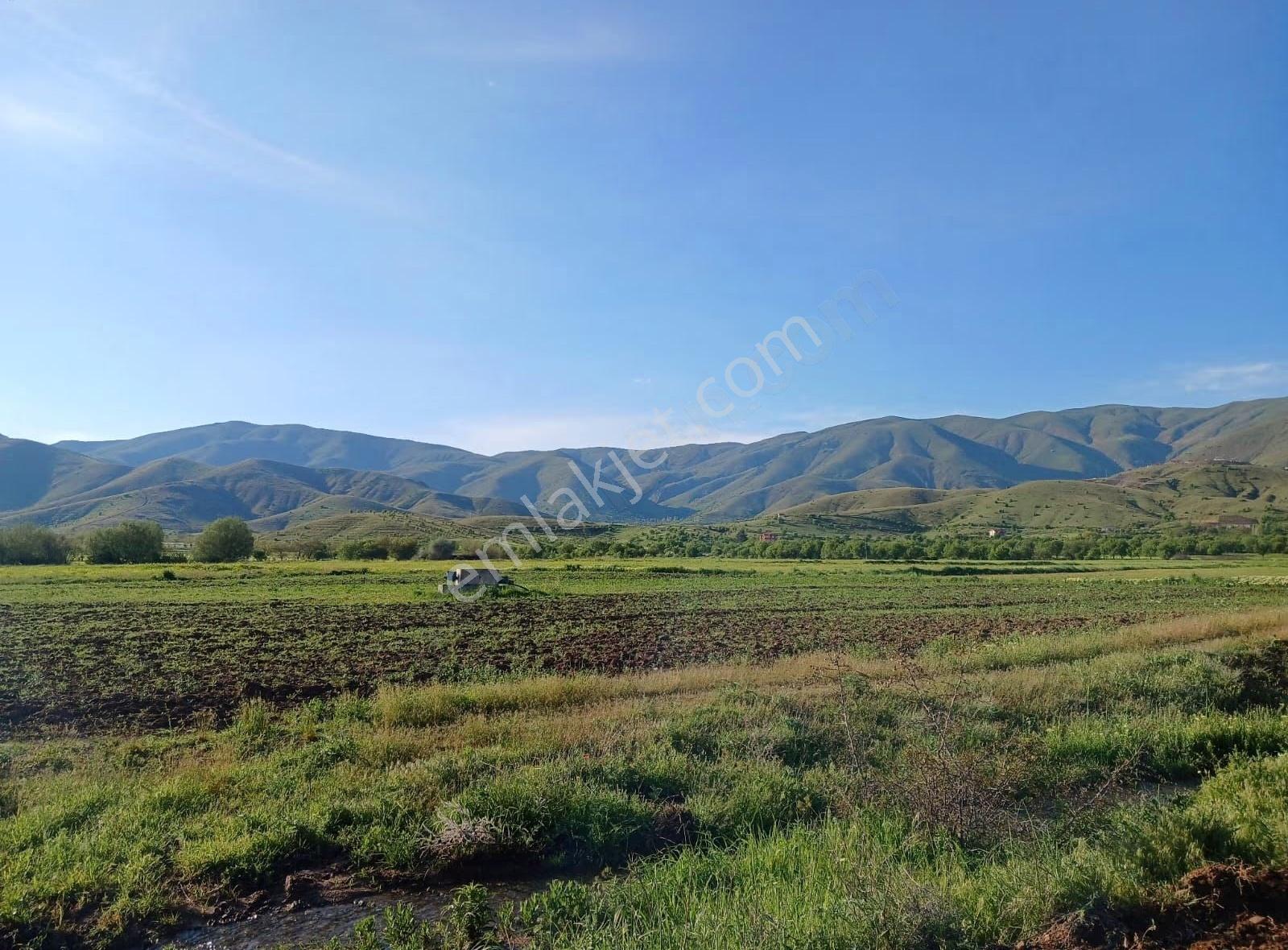 Elazığ Merkeze 25 Kilometre Satılık Tarla - Görsel 3