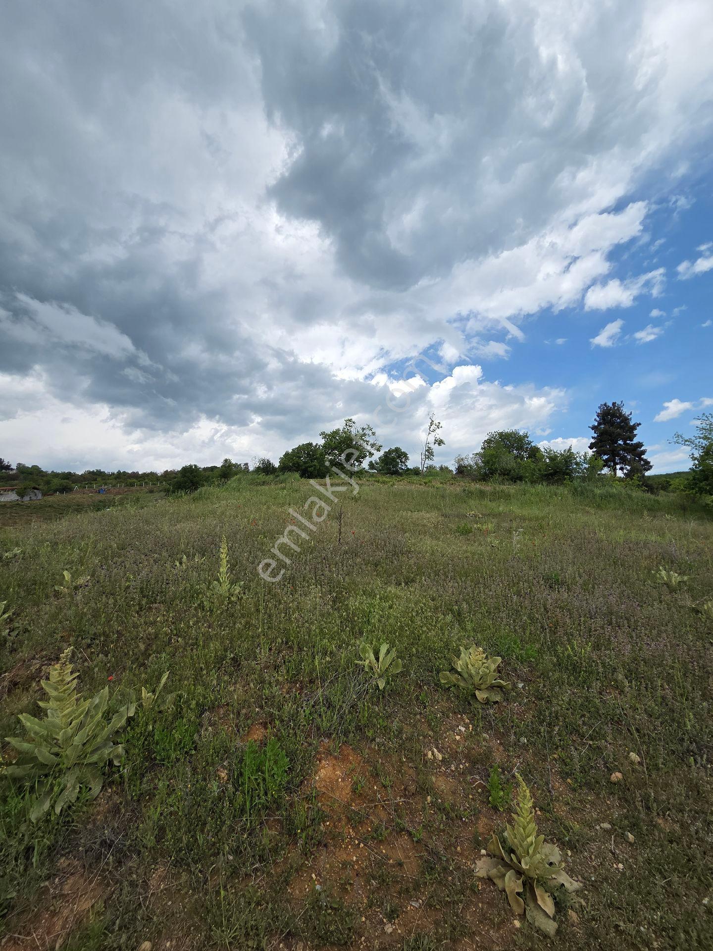 Bölgenin En Uygunu Ax - Görsel 2