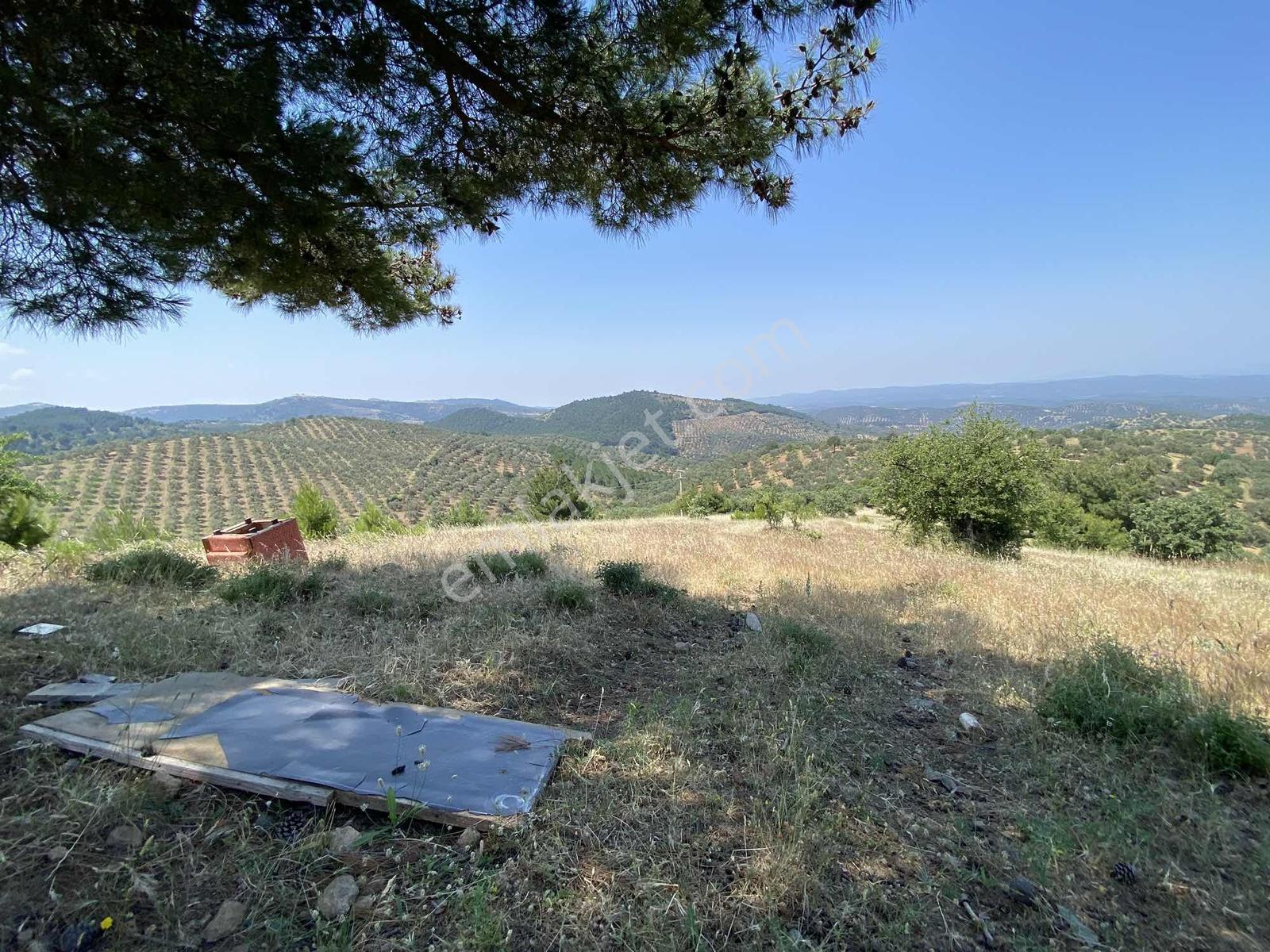 Prestijden Yerleşime 700 Metre Körfez Deniz Manzaralı Tarla - Görsel 9
