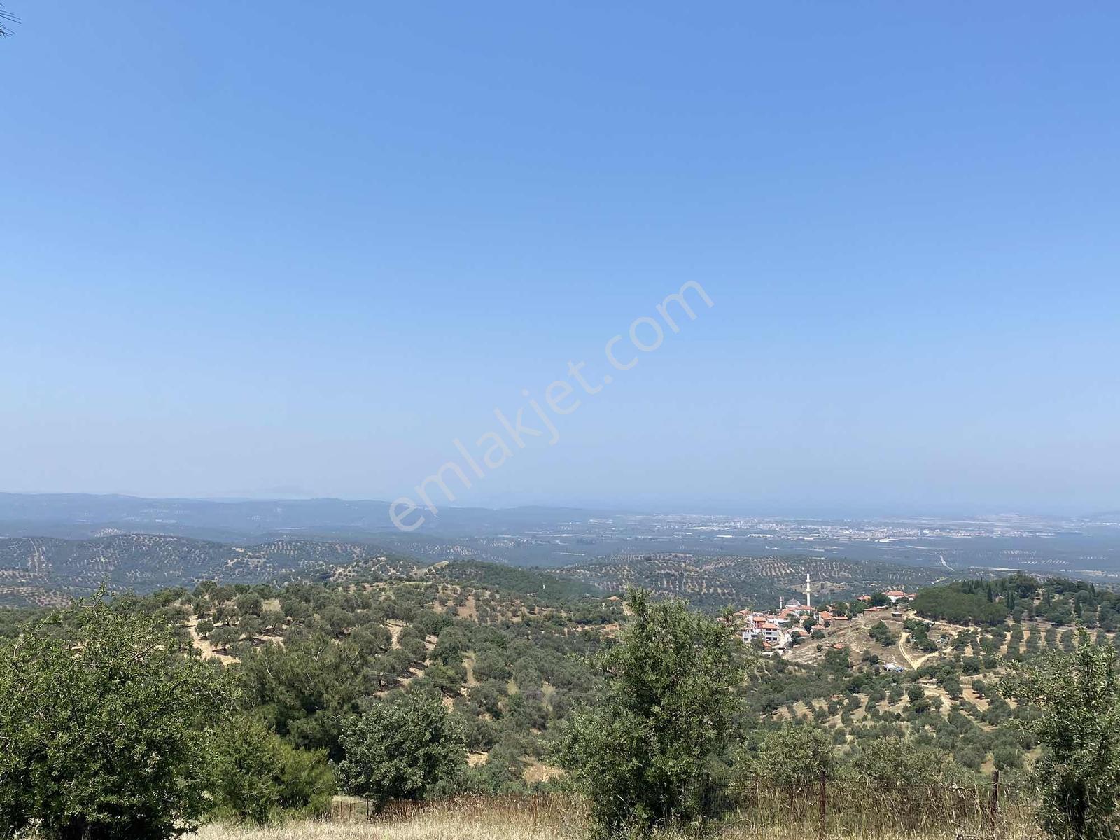 Prestijden Yerleşime 700 Metre Körfez Deniz Manzaralı Tarla - Görsel 13