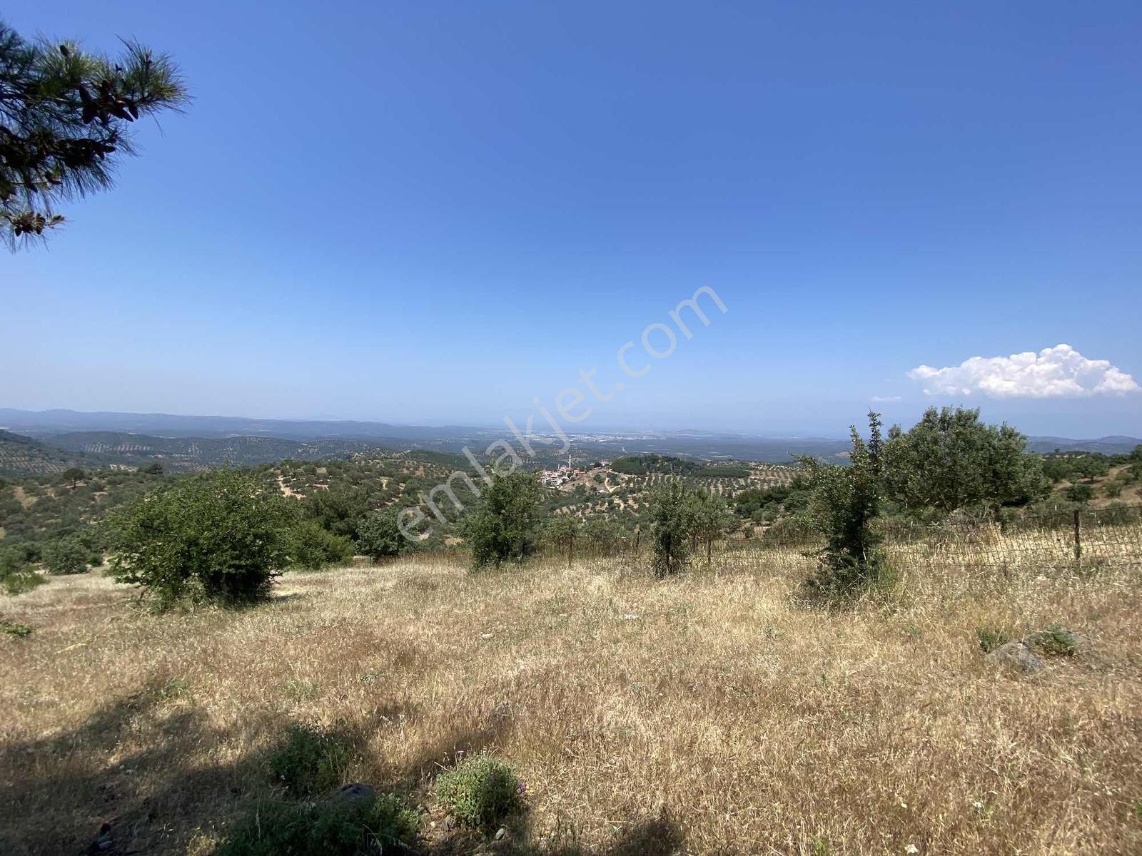 Prestijden Yerleşime 700 Metre Körfez Deniz Manzaralı Tarla - Görsel 14