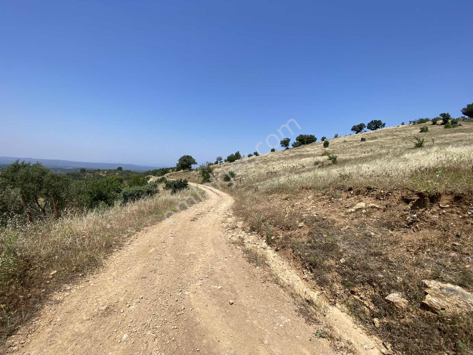 Prestijden Yerleşime 700 Metre Körfez Deniz Manzaralı Tarla - Görsel 3