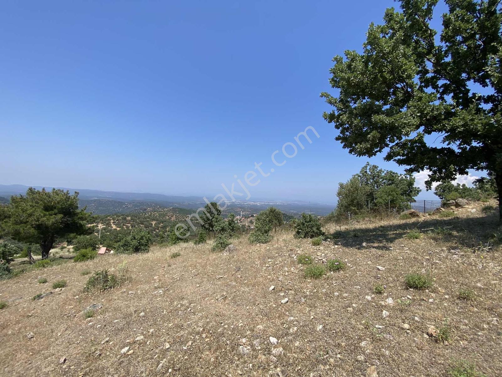 Prestijden Yerleşime 700 Metre Körfez Deniz Manzaralı Tarla - Görsel 20