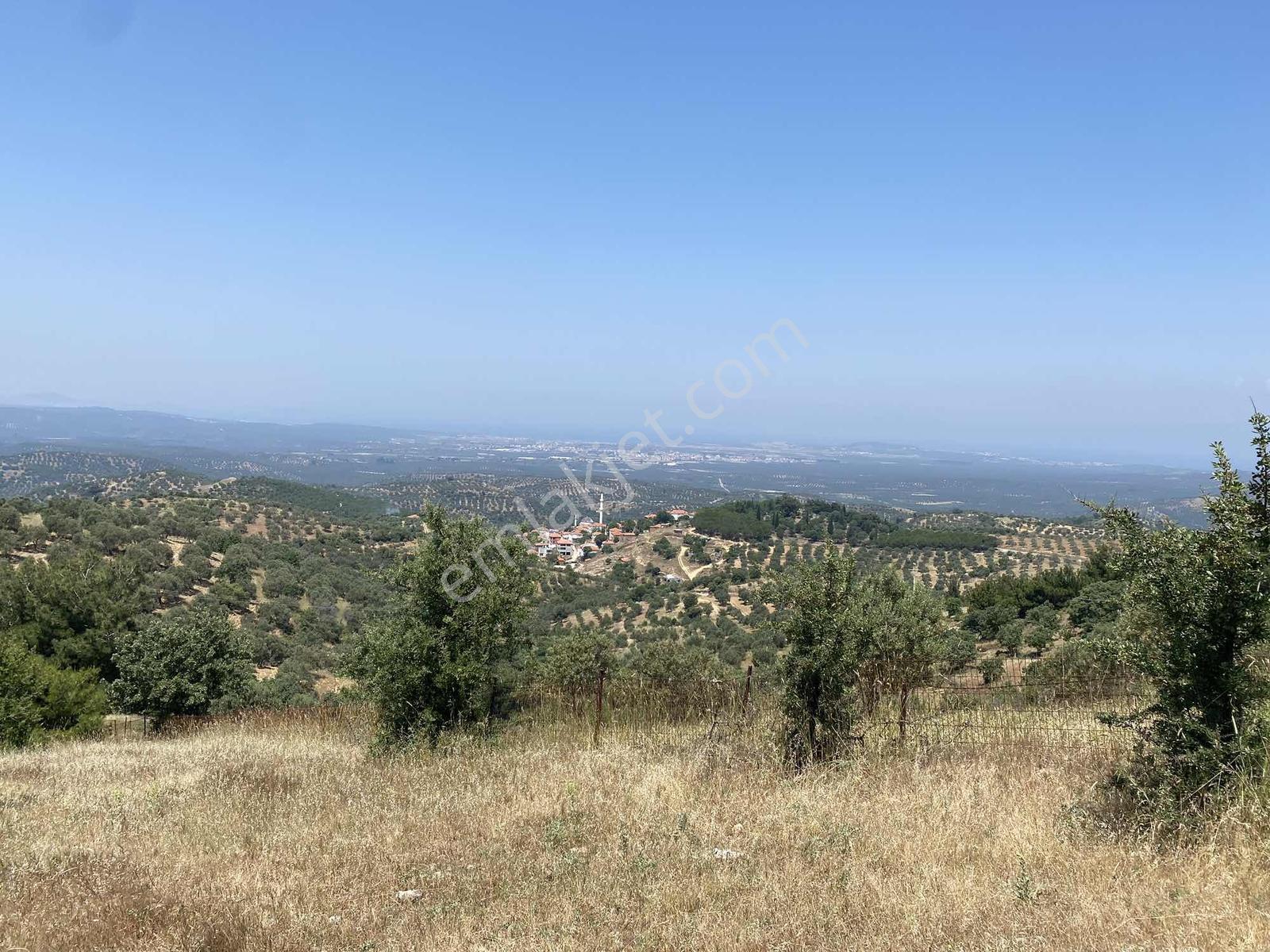 Prestijden Yerleşime 700 Metre Körfez Deniz Manzaralı Tarla - Görsel 16
