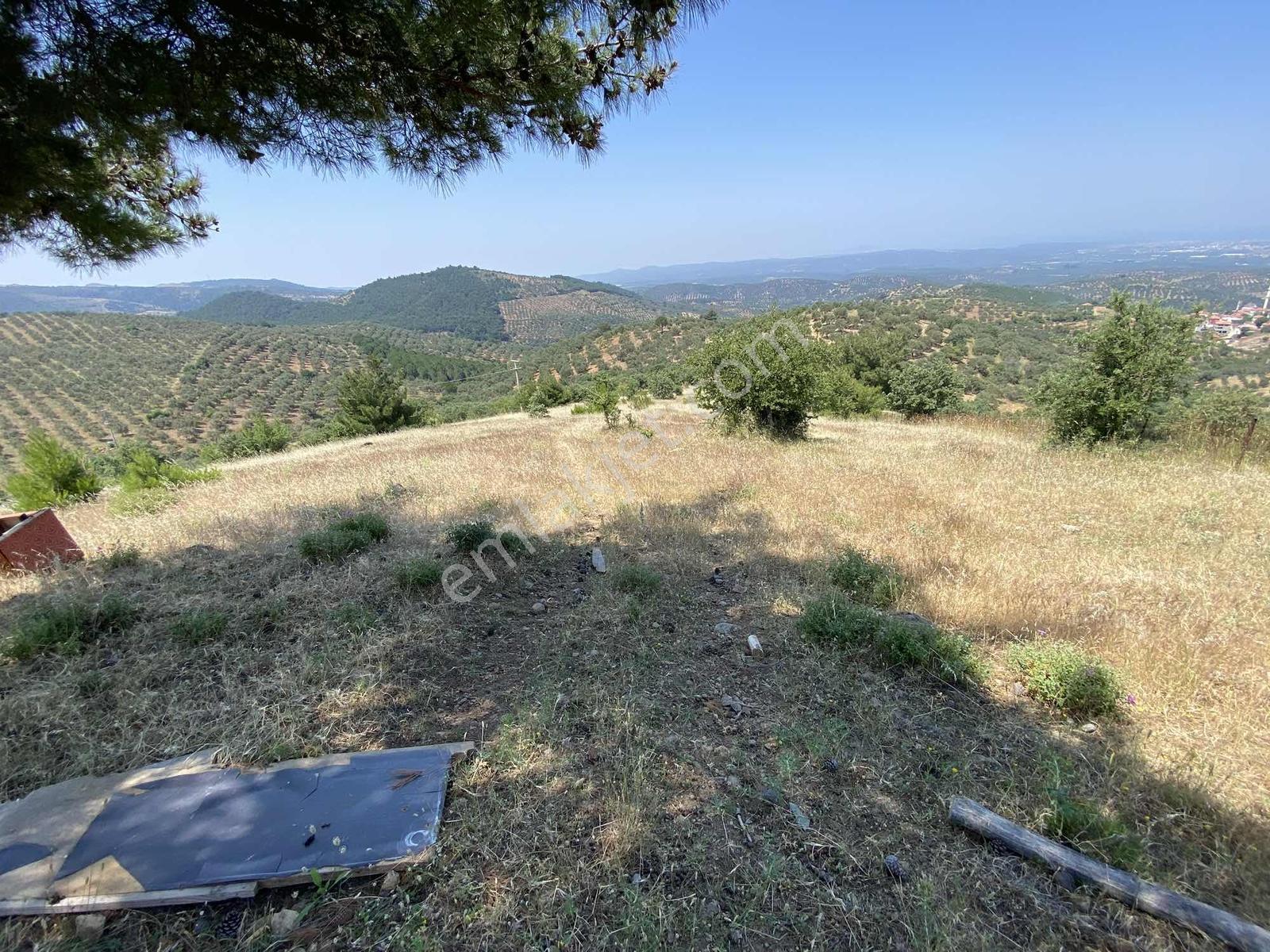 Prestijden Yerleşime 700 Metre Körfez Deniz Manzaralı Tarla - Görsel 11