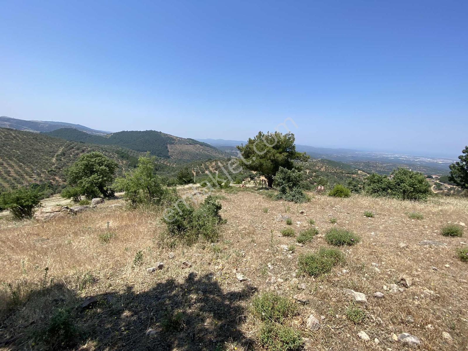 Prestijden Yerleşime 700 Metre Körfez Deniz Manzaralı Tarla - Görsel 22