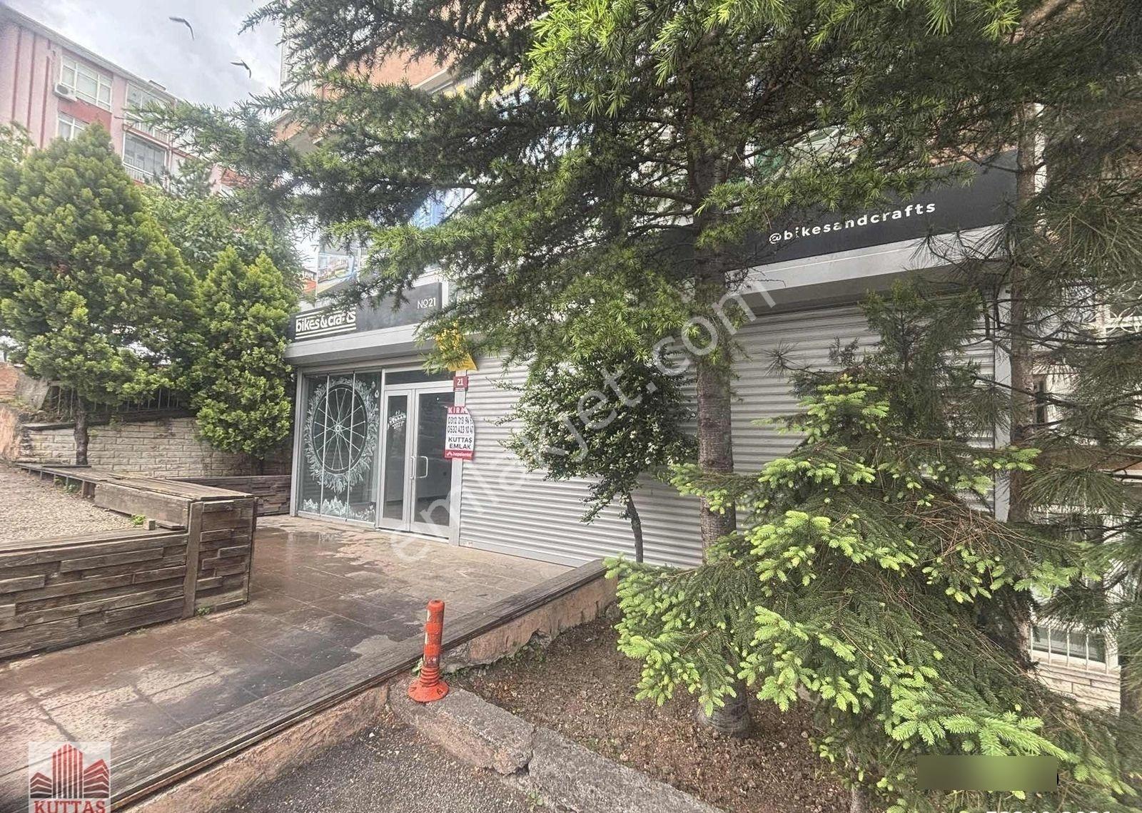 Kuttaş'tan Ayrancı Tomurcuk Sokak Köşe Başı Kiralık Dükkan - Görsel 2