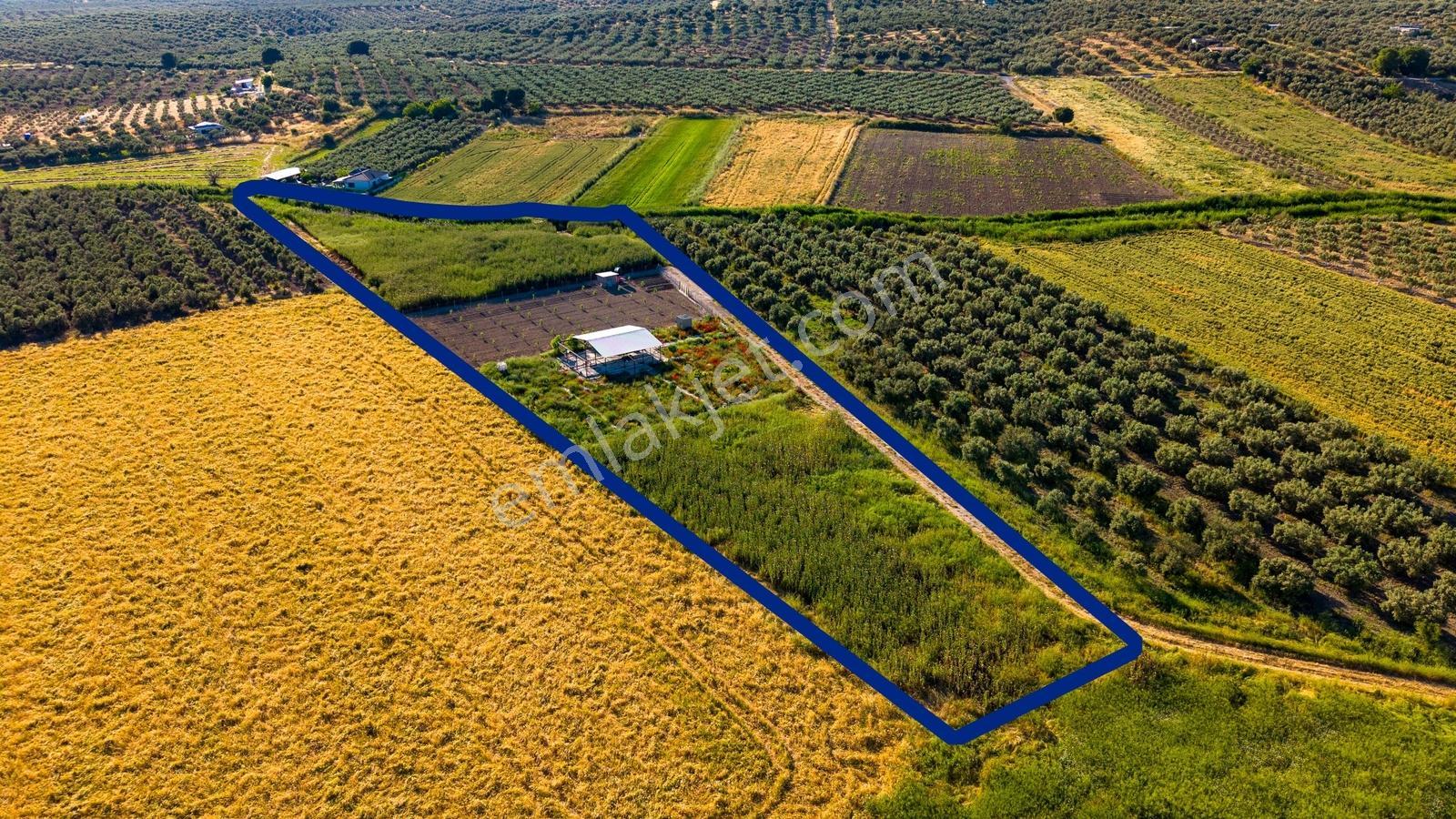Foça Gerenköy'de Satılık 212 M2 Tarla - Görsel 13