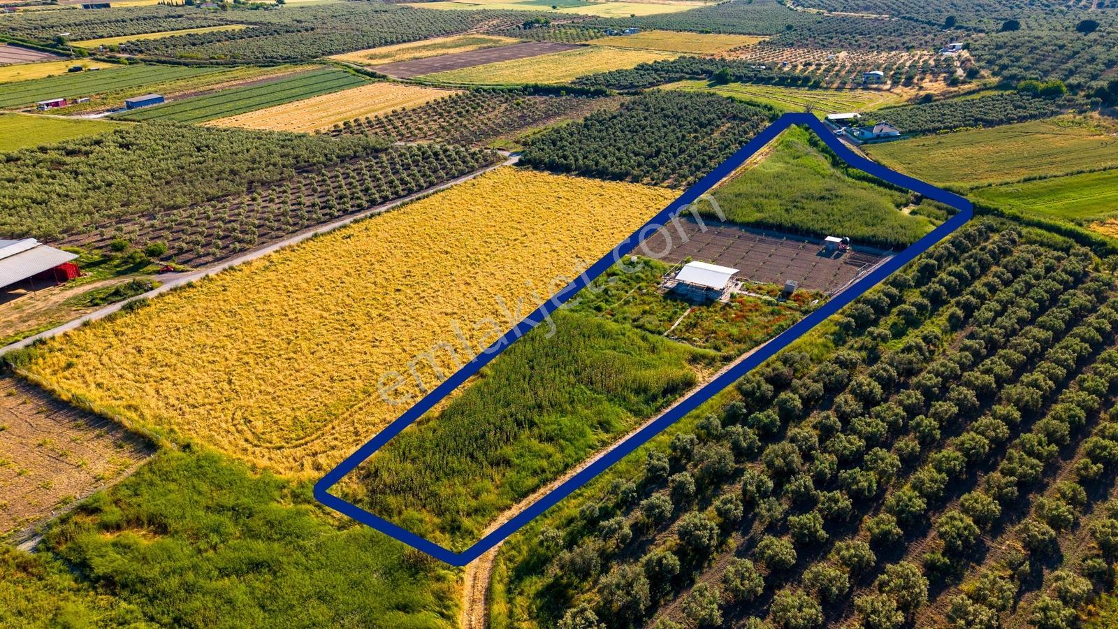 Foça Gerenköy'de Satılık 212 M2 Tarla - Görsel 15