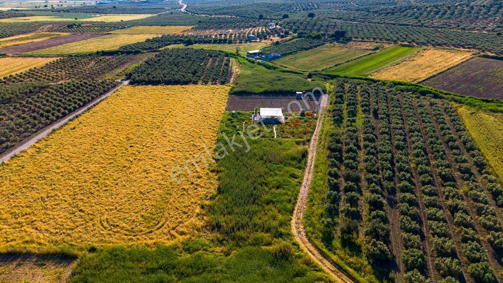 Foça Gerenköy'de Satılık 212 M2 Tarla - Görsel 31