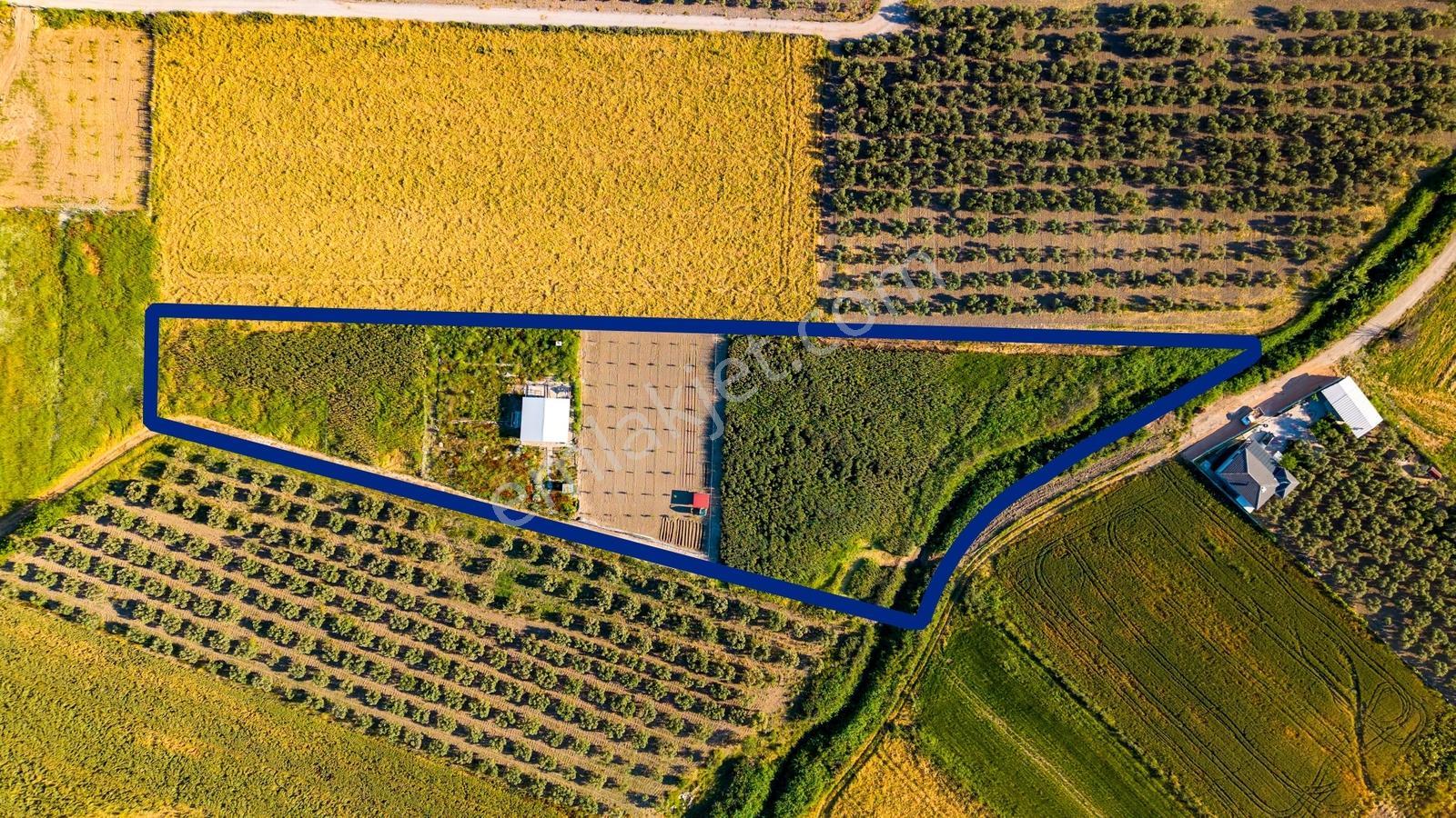 Foça Gerenköy'de Satılık 212 M2 Tarla - Görsel 18