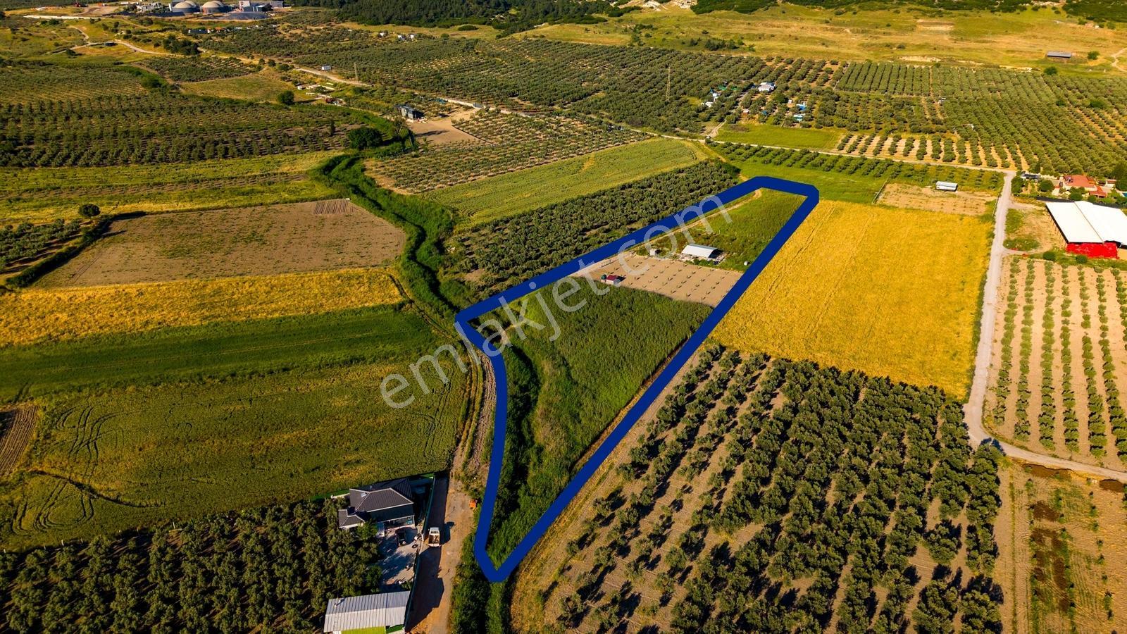 Foça Gerenköy'de Satılık 212 M2 Tarla - Görsel 20