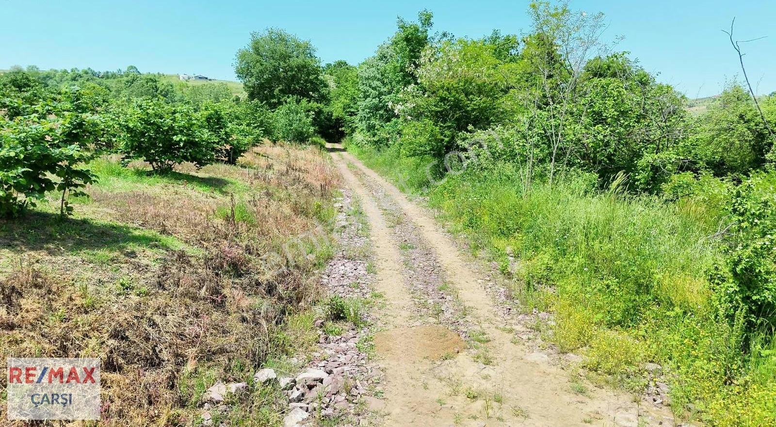 Kandıra Ahmethacılar Köyünde Yol Kenarı 2000 M2 Satılık Tarla
