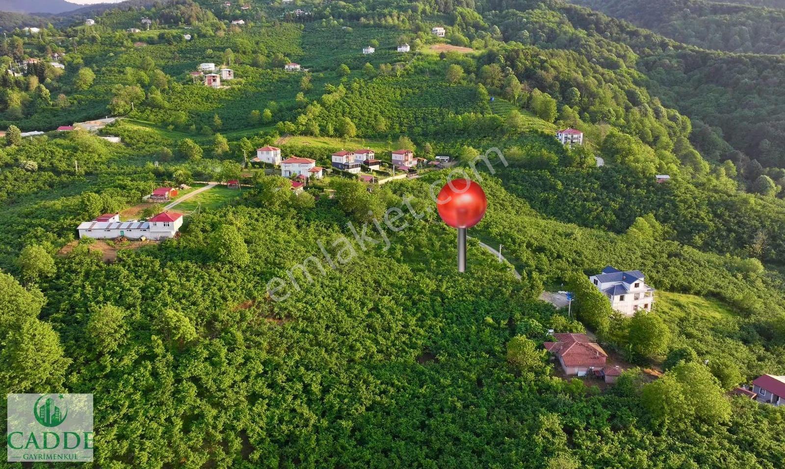 Cadde Emlaktan Karapürçek Ahmediye De 2840 M2 İmarlı Arsa - Görsel 7