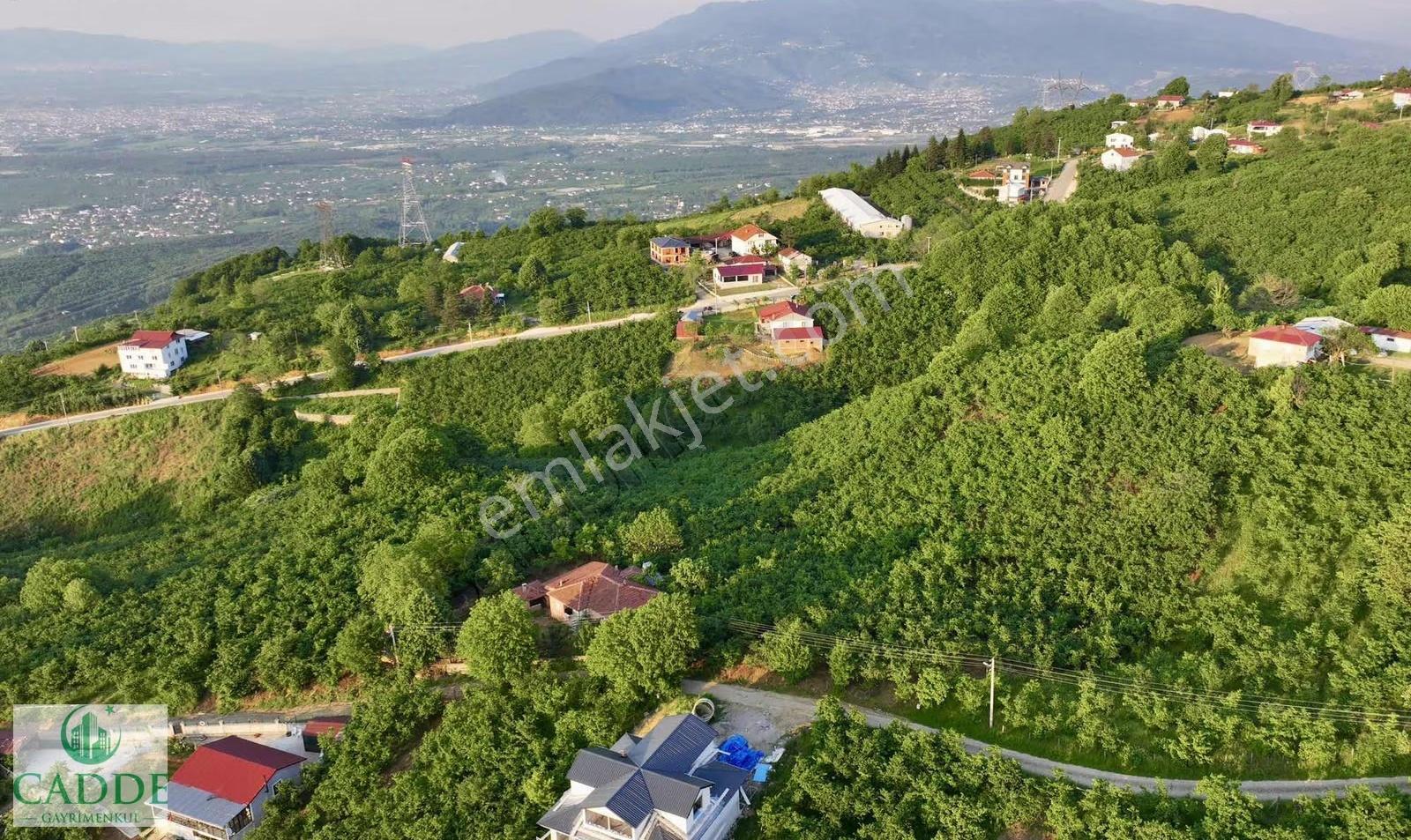 Cadde Emlaktan Karapürçek Ahmediye De 2840 M2 İmarlı Arsa - Görsel 2