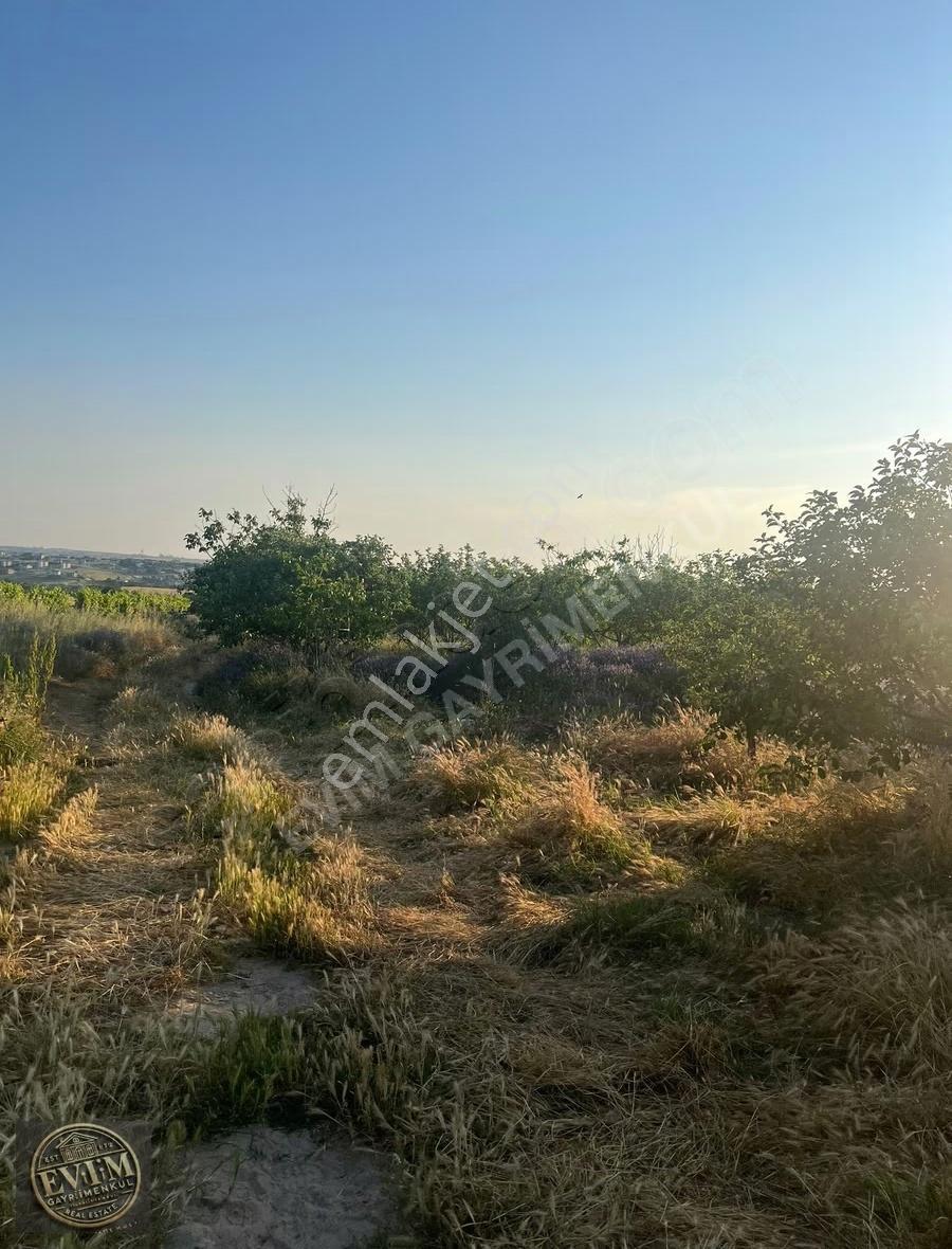 Evim Gayrimenkul'den Çerkezköy Kızılpınar 9.970m² Tek Tapu Tarla - Görsel 20