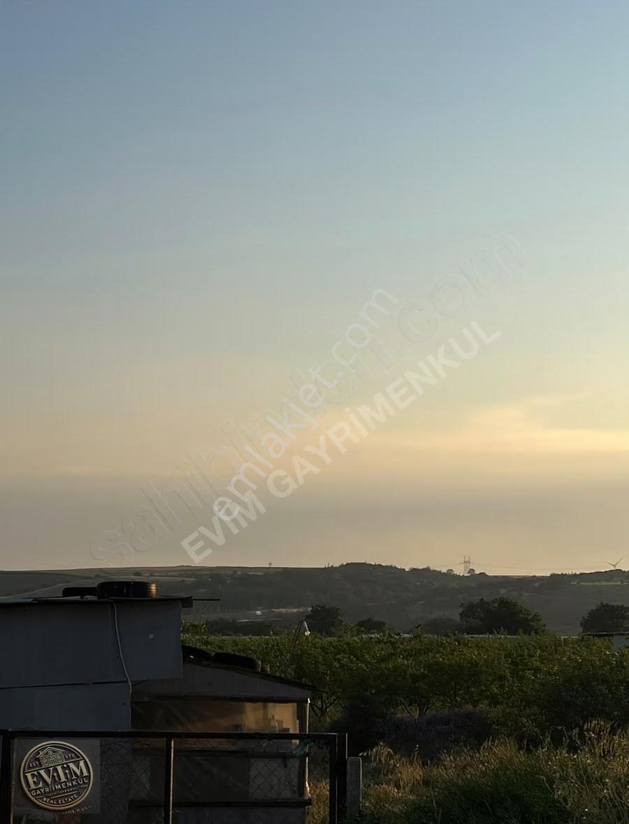 Evim Gayrimenkul'den Çerkezköy Kızılpınar 9.970m² Tek Tapu Tarla - Görsel 19