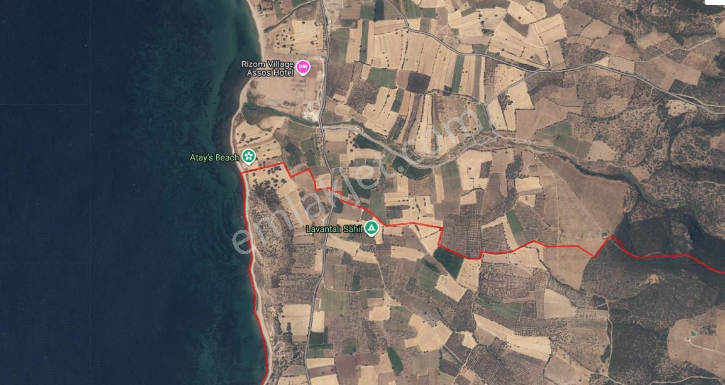 Çanakkale Ezine Alemşah 2600 M2 Satılık Tarla