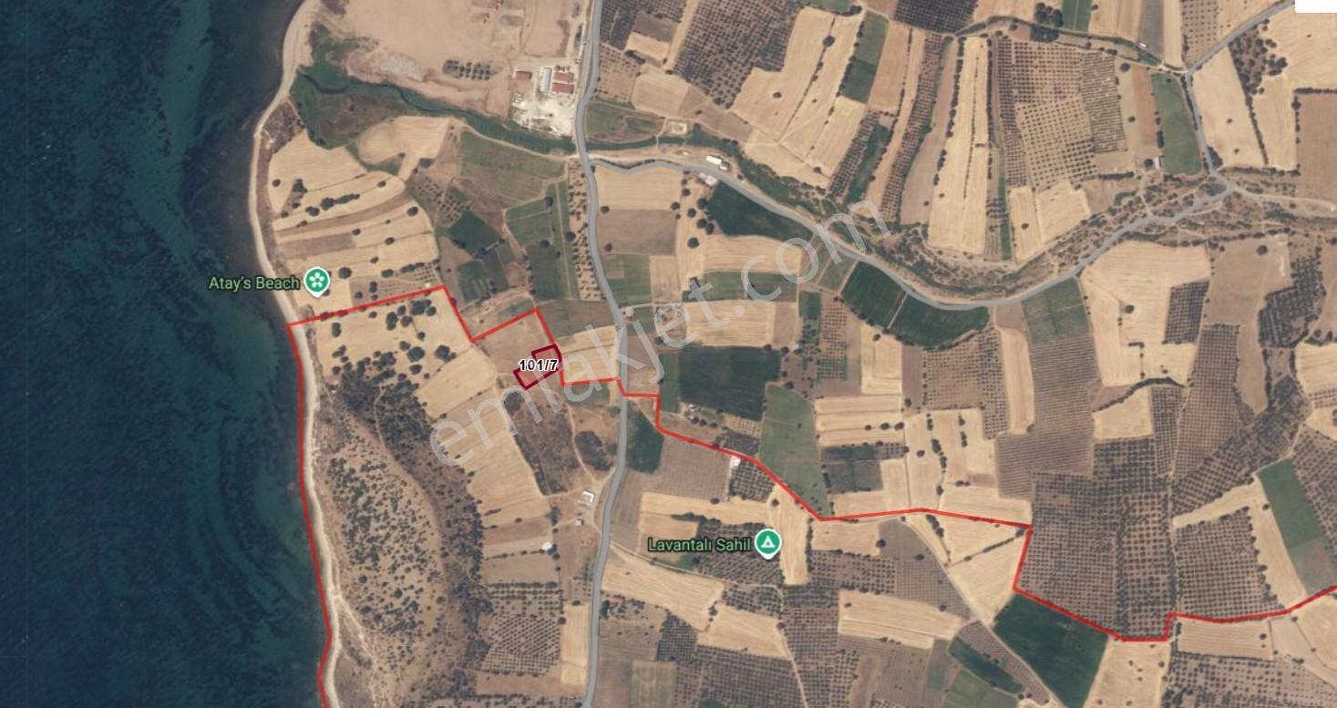 Çanakkale Ezine Alemşah 2600 M2 Satılık Tarla - Görsel 3