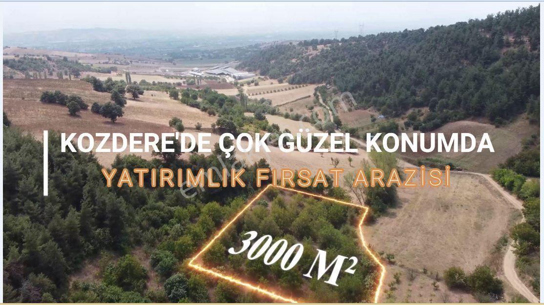 Master Realtor Nilvest'ten Kozdere'de Yetişkin Ceviz Bahçesi - Görsel 2