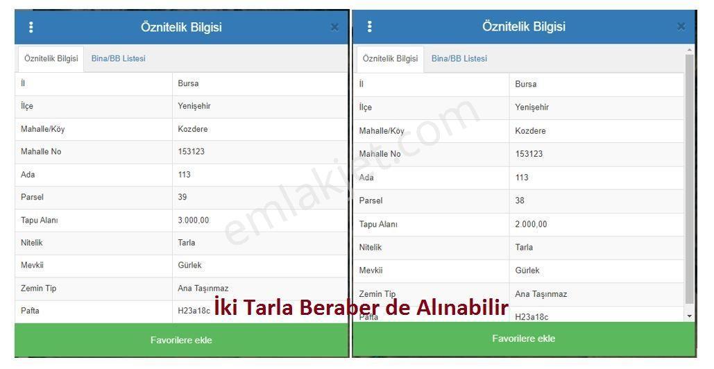 Master Realtor Nilvest'ten Kozdere'de Yetişkin Ceviz Bahçesi - Görsel 16