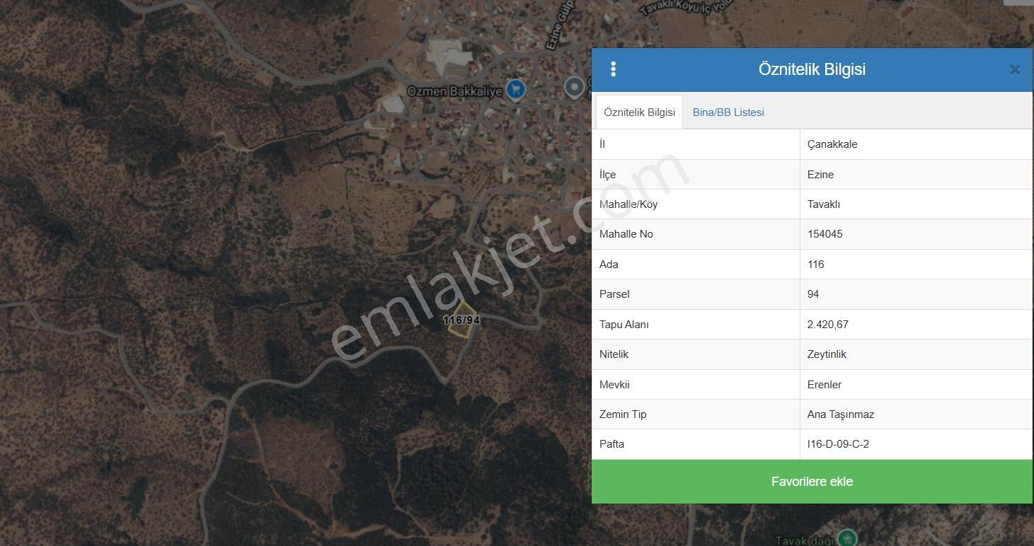 Çanakkale Ezine Tavaklı 2420 M2 Satılık Zeytinlik - Görsel 5