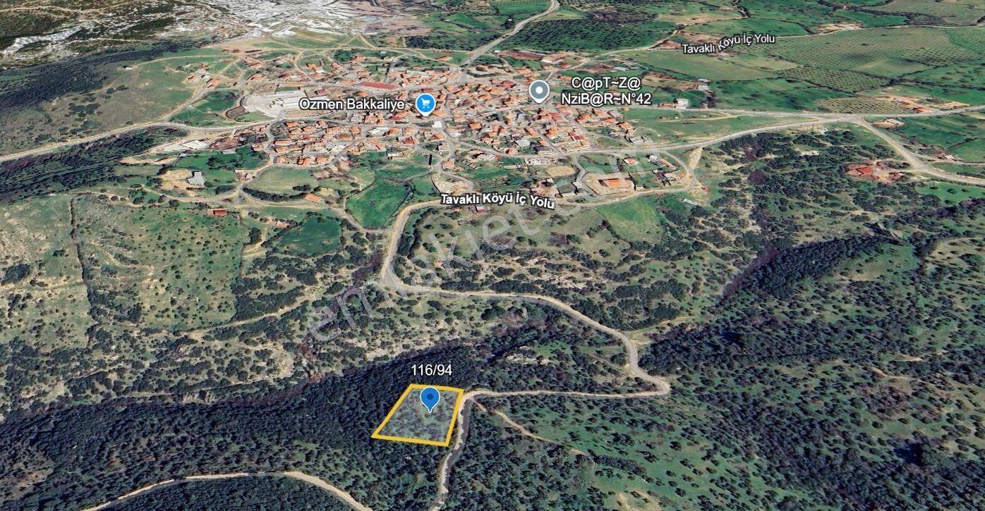 Çanakkale Ezine Tavaklı 2420 M2 Satılık Zeytinlik - Görsel 2