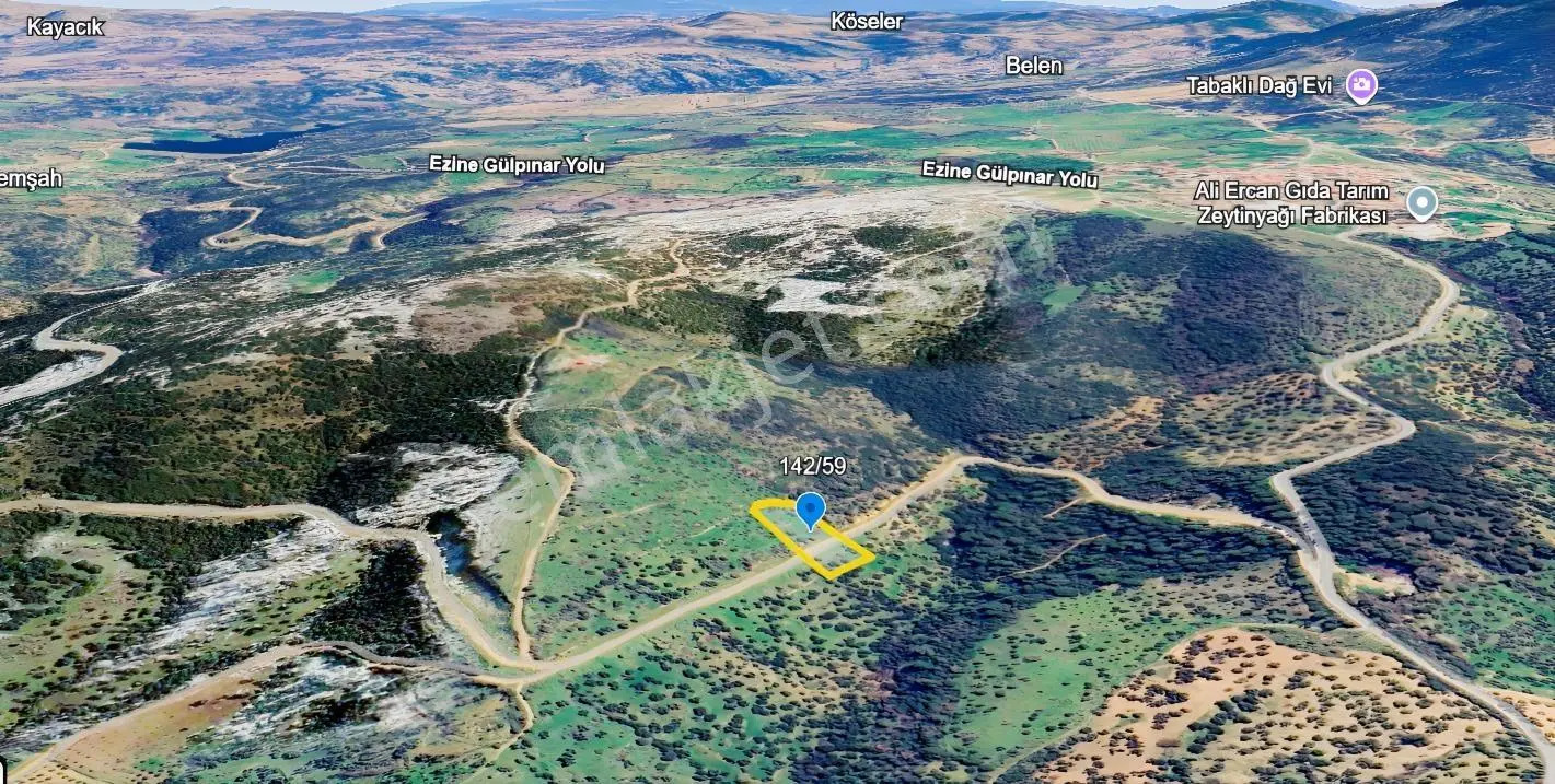 Çanakkale Ezine Tavaklı Satılık 2975 M2 Zeytinlik - Görsel 3