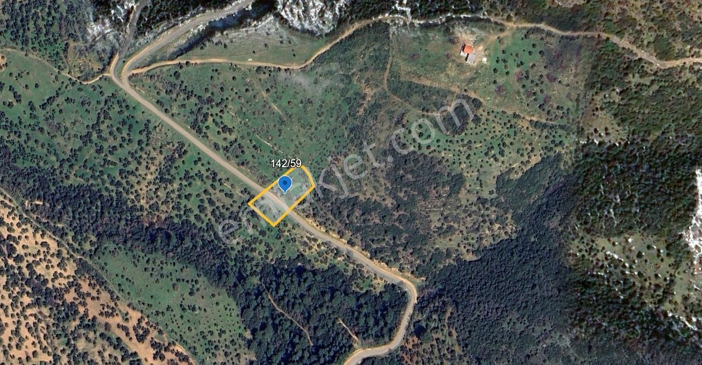 Çanakkale Ezine Tavaklı Satılık 2975 M2 Zeytinlik - Görsel 2
