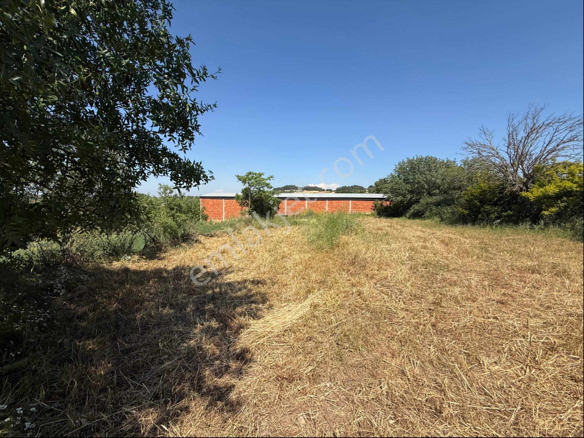 Altıeylül Nergiz Mah. Satılık 1738 M2 Tarla - Görsel 7