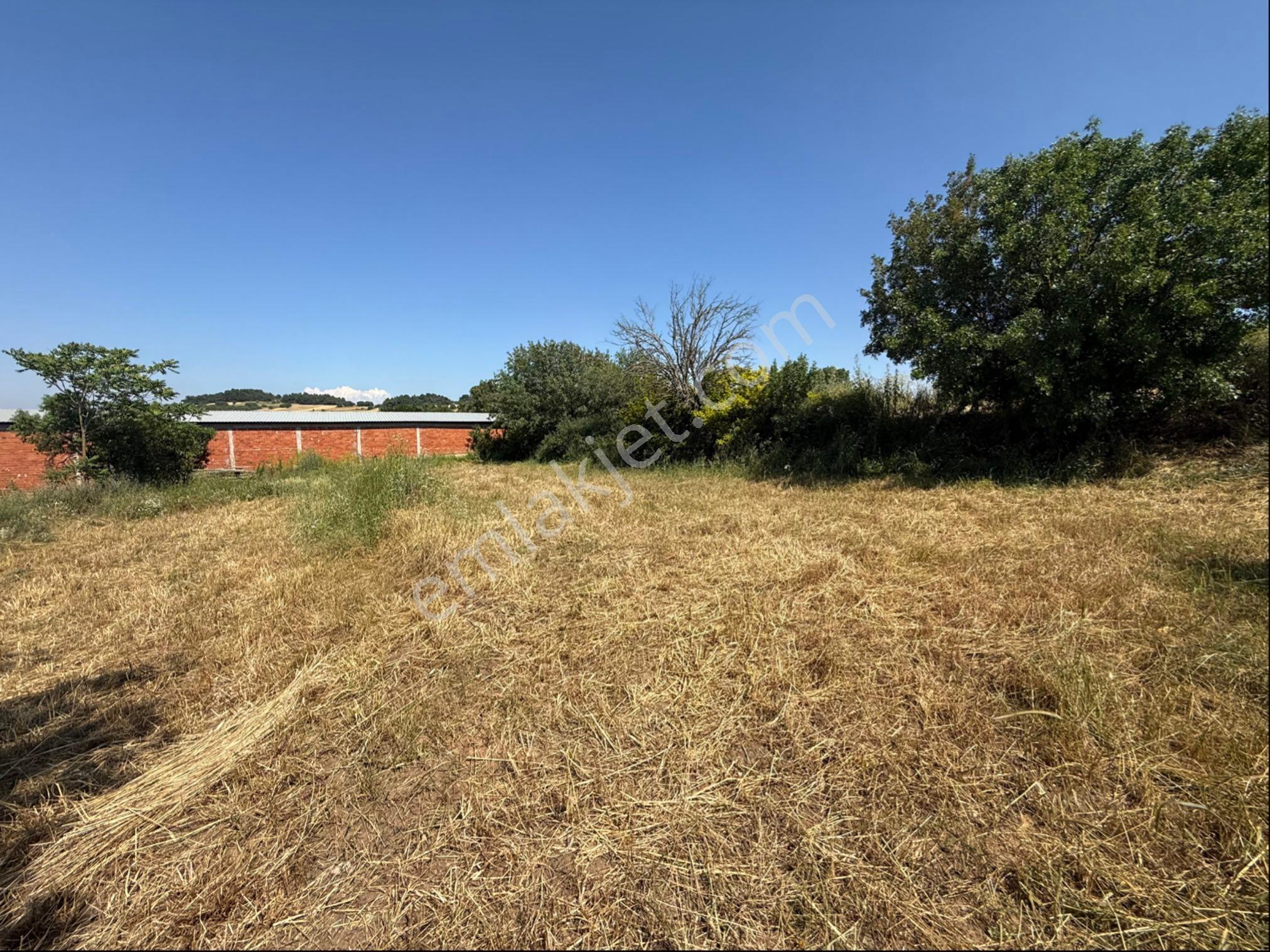 Altıeylül Nergiz Mah. Satılık 1738 M2 Tarla - Görsel 6