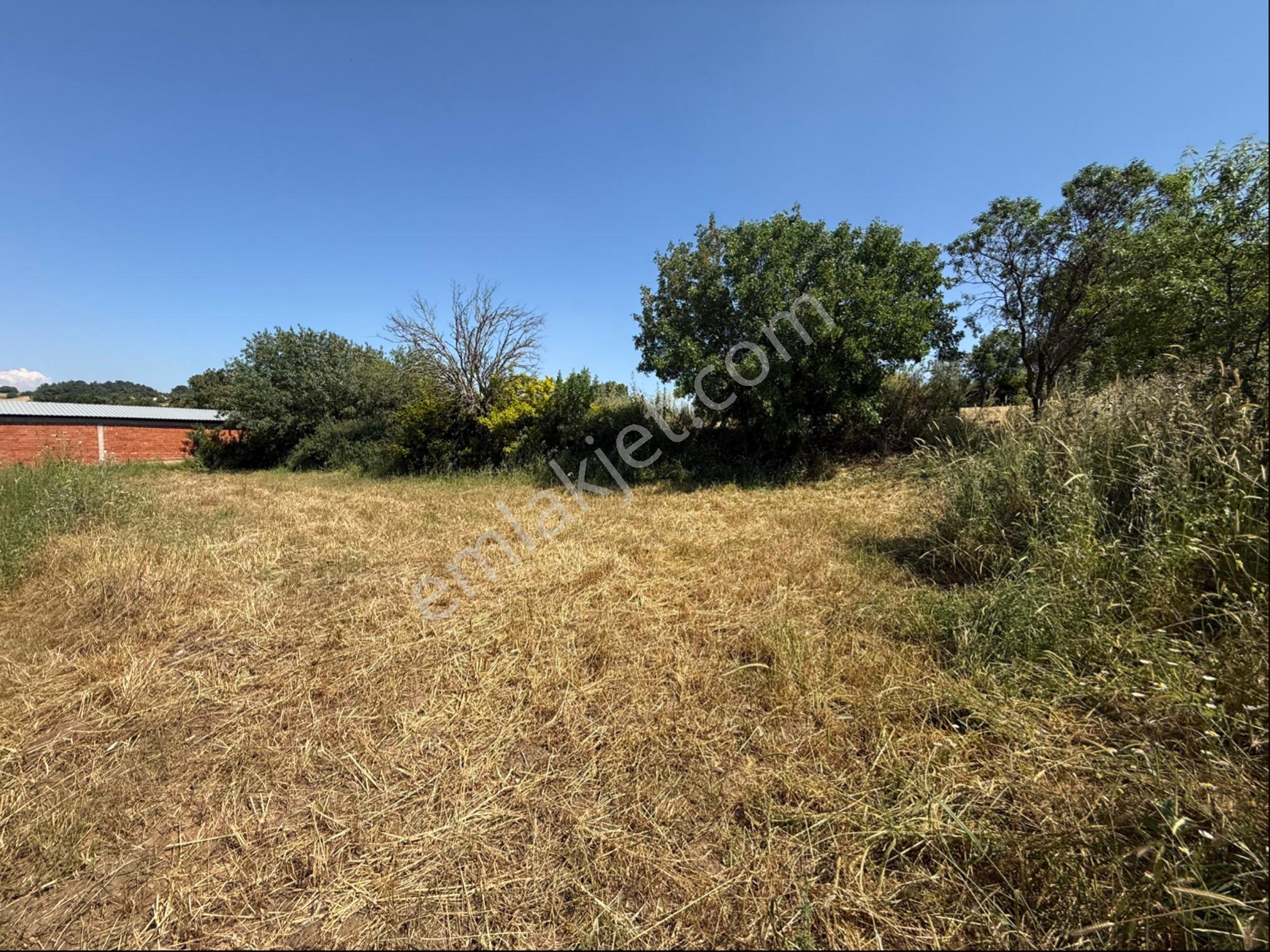 Altıeylül Nergiz Mah. Satılık 1738 M2 Tarla - Görsel 5