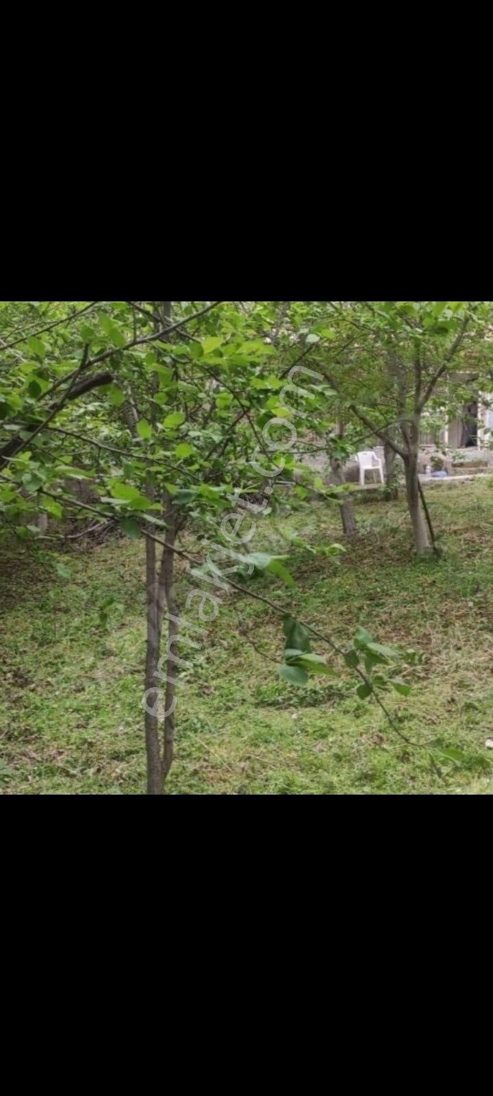 Kar Emlaktan Küçük Tekirde 2+1 Satılık Müstakil Ev - Görsel 2