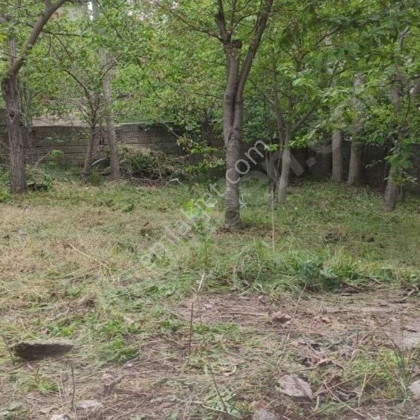 Kar Emlaktan Küçük Tekirde 2+1 Satılık Müstakil Ev - Görsel 25