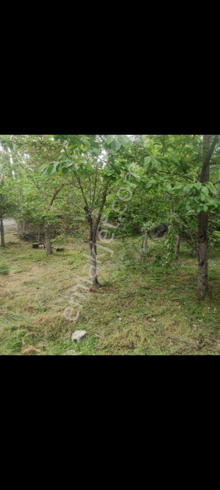 Kar Emlaktan Küçük Tekirde 2+1 Satılık Müstakil Ev - Görsel 7