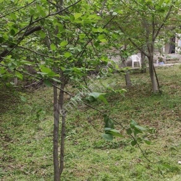 Kar Emlaktan Küçük Tekirde 2+1 Satılık Müstakil Ev - Görsel 17