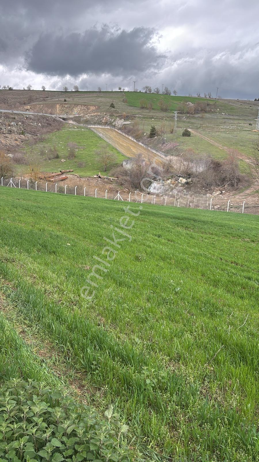 Kavak Göçebe De Divanbaşı Göletine Yakın Satılık Arazi - Görsel 15