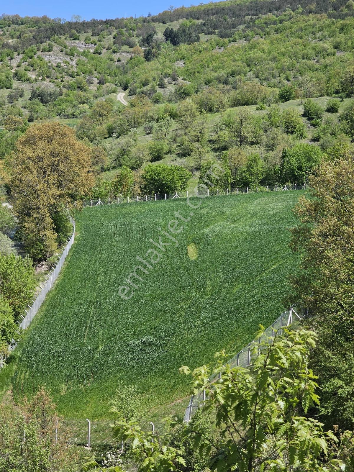 Kavak Göçebe De Divanbaşı Göletine Yakın Satılık Arazi