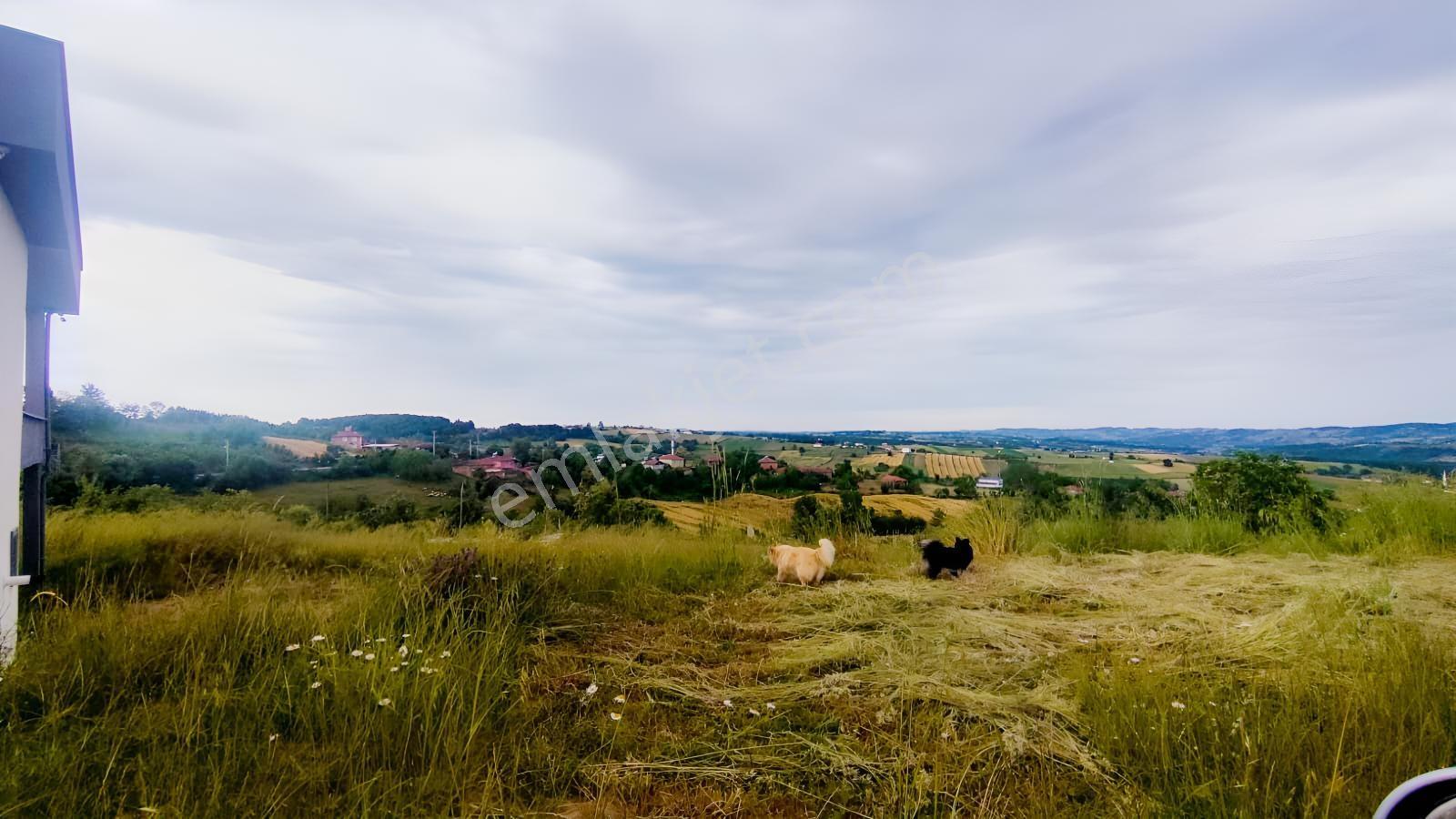 Kandıra Topluca Ana Yola Cephe 2.682 M2 - Görsel 9